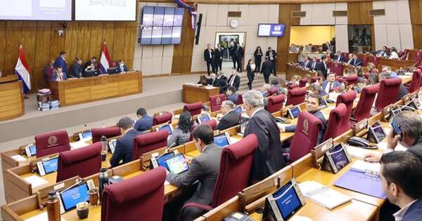La Nación / Diputados sanciona proyecto de ley sobre reposo por maternidad
