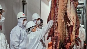 Paraguay, entre los 10 mayores exportadores de carne del mundo