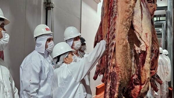 Paraguay, entre los 10 mayores exportadores de carne del mundo