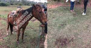 Diario HOY | Jinete fallece trágicamente tras caer de su caballo en Ayolas
