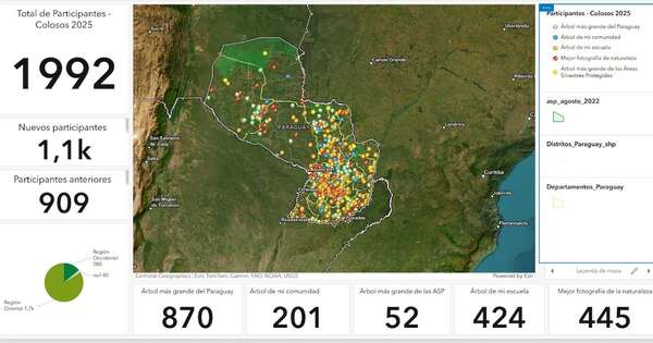 Diario HOY | Colosos de la Tierra: logran casi 2.000 inscripciones de árboles