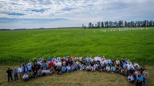 San Pedro se alista para el Grass Academy: un encuentro clave sobre pasturas tropicales
