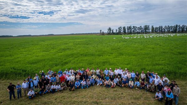 San Pedro se alista para el Grass Academy: un encuentro clave sobre pasturas tropicales
