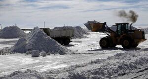 Bolivia construirá una planta de litio en Rusia