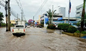 Árboles y columnas caídas complicaron el tránsito y dejaron comunidades sin luz, tras temporal - OviedoPress