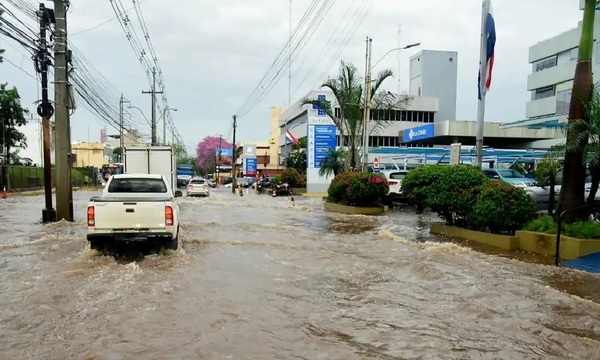 Árboles y columnas caídas complicaron el tránsito y dejaron comunidades sin luz, tras temporal - OviedoPress