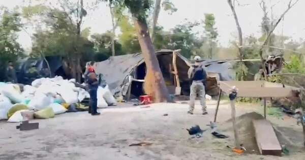 La Nación / Canindeyú: desmantelan megaestructura e incautan casi 10 toneladas de marihuana
