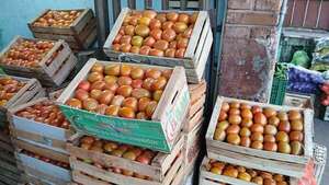 El precio del tomate vuelve a subir: vendedores culpan a la baja producción local   - Nacionales - ABC Color