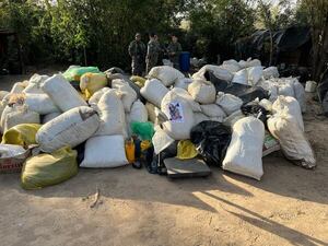 Desmantelan megaestructura narco en Canindeyú: droga destruida equivale a más de un millón de dólares  - Nacionales - ABC Color