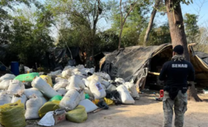 Senad desmantela megaestructura narco en Canindeyú vinculada a “Selva Hũ”