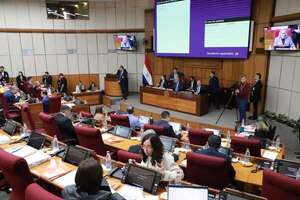 Exigen al canciller rendir cuentas por memorando con EE.UU.: “Paraguay no puede convertirse en purgatorio” - Política - ABC Color