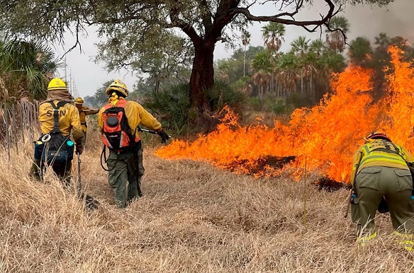 Alto Paraguay: un año sin castigo para responsables de incendios