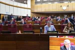 Senado pide informes a Cancillería sobre acuerdo migratorio con EE.UU. - Política - ABC Color