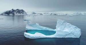 Colapso de la Capa de Hielo Antártica: consecuencias críticas para el clima y la fauna - Ciencia - ABC Color