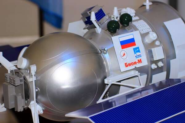 Nuevo experimento en órbita polar: ¿Qué estudia el satélite lanzado por Roscosmos? - Ciencia - ABC Color