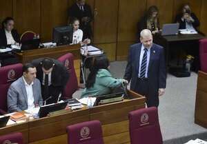 Desde el Senado, el Cartismo acusa a Maduro de liderar el  Cartel de los Soles - Política - ABC Color