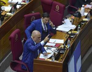 Senado mantiene ley de Jubilación Vip legislativa - Política - ABC Color