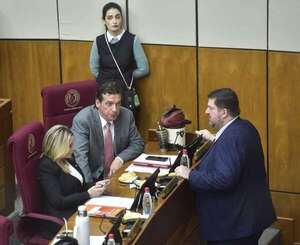 Salvo en feudos, Senado rechaza  exonerar peajes en el país  - Política - ABC Color