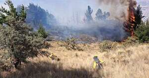 La Nación / Bolivia declara emergencia nacional por incendios forestales