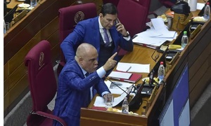 Senadores frenan cambios y defienden privilegios en el sistema jubilatorio - OviedoPress