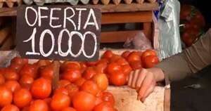 Diario HOY | Gremio desmiente escasez de tomate y detalla precio real