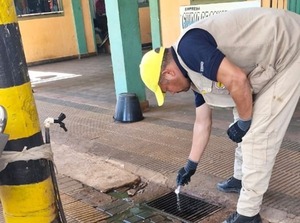 Mayoría de barrios son zonas de riesgo por mosquitos - Portal Digital Cáritas Universidad Católica