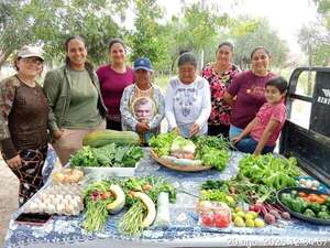 Tras aislamiento forzado en Fuerte Olimpo, aumenta la producción hortícola, pero falta mercado - Noticias del Chaco - ABC Color