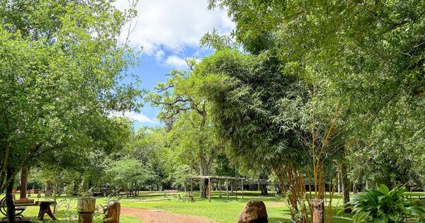 La Nación / Rally del Paraguay: el camping se posiciona como alternativa turística en Itapúa