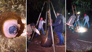 Bomberos rescatan una vaca que cayó a un pozo de 8 metros en Misiones