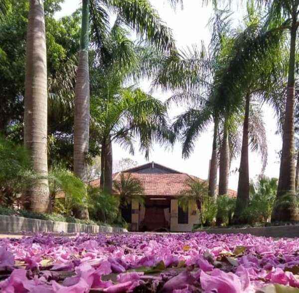 Itauguá: sacerdote aboga por la unidad familiar - Nacionales - ABC Color
