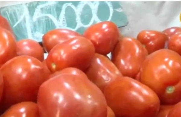 Popular / Preocupante: Ojupi precio del tomate