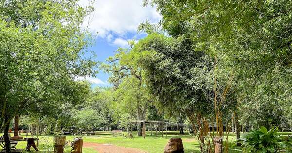Diario HOY | En Itapúa habilitan camping ante alta ocupación hotelera para el rally