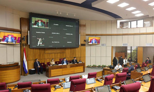 Senado aprueba inglés obligatorio desde el preescolar en escuelas públicas - OviedoPress