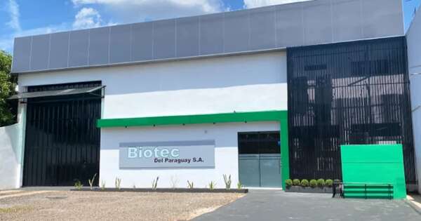 Diario HOY | Simularon millonaria compra de equipos médicos para estafar a una empresa