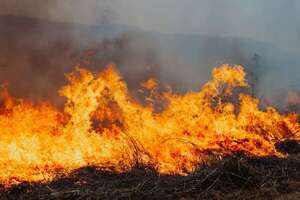 Incendios y urbanización: ¿por qué aumenta la población expuesta a incendios forestales? - Ciencia - ABC Color