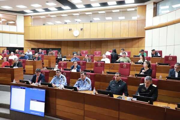 Anuncian proyecto que apunta a priorizar a productores nacionales frente a importadores - Política - ABC Color