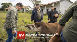 EBY E ITAIPÚ INTERCAMBIAN ESPECIES SILVESTRES PARA MEJORAR LA GENÉTICA Y ASEGURAR LA PRESERVACIÓN