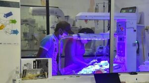 Popular / ¡Esposiblena! Hospital en apuros por invasión de pulgas y piojos