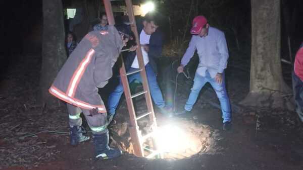 El impactante rescate de una vaca que cayó en un pozo de 8 metros