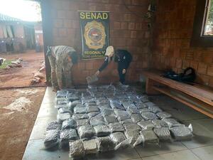 SENAD incauta marihuana de alto valor en Amambay