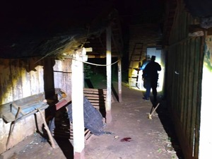 Popular / Karai baleó a ladrón que se llevó su gallina y quedó preso