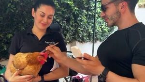 Popular / (VIDEO) Otro día sin ser Hortensia: ¡La gallina de Laurys Dyva tiene su propio maquillador!