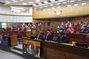 El salario mínimo no alcanza: Congreso abre debate sobre nueva fórmula de ajuste - Política - ABC Color
