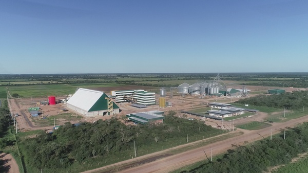 Industria aceitera de Pioneros del Chaco será inaugurada en septiembre con inversión superior a USD 45 millones