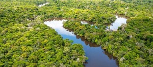Colombia, Brasil y Bolivia defienden la Amazonia en cumbre - ADN Digital