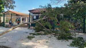 Rama de árbol cae sobre un alumno de preescolar en San Antonio - Nacionales - ABC Color