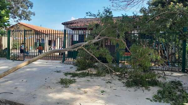 Rama de árbol cae sobre un alumno de preescolar en San Antonio - Nacionales - ABC Color