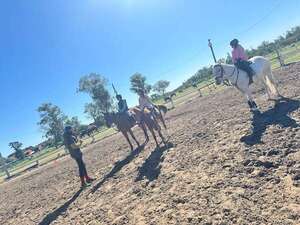 Hipismo: Tercera jornada de adiestramiento - Polideportivo - ABC Color