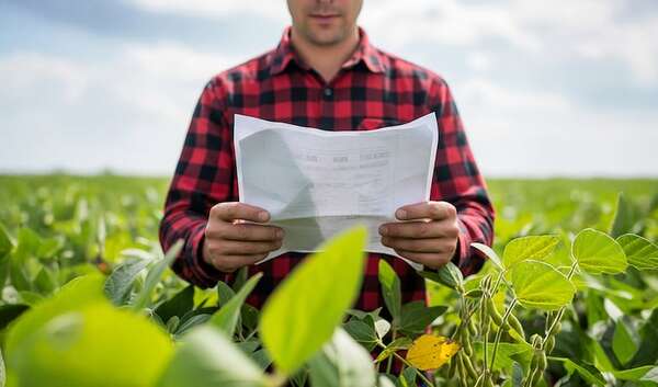 El valor de las certificaciones en el agro - ABC Rural - ABC Color