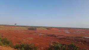 Revelan por qué la construcción de la planta de celulosa de Paracel sigue en pausa - Economía - ABC Color